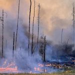 Particulate matter: What health hazards are slumbering in the air from forest fires