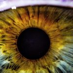 Eye: Insights into the whole body?  What's Really About Iridology