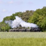 Steam locomotives: A thunderous journey through time on the Teuto Express
