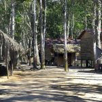 Parlament stimmt gegen indigene Schutzgebiete