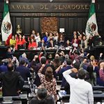 Senate passes controversial judicial reform