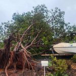 Cyclone "Zelia" rages over Australia