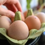 The Germans eat more eggs